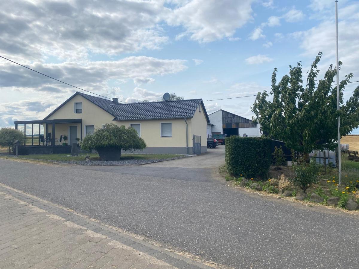 Apartamento Auszeit Birkenhof Trimbs Exterior foto